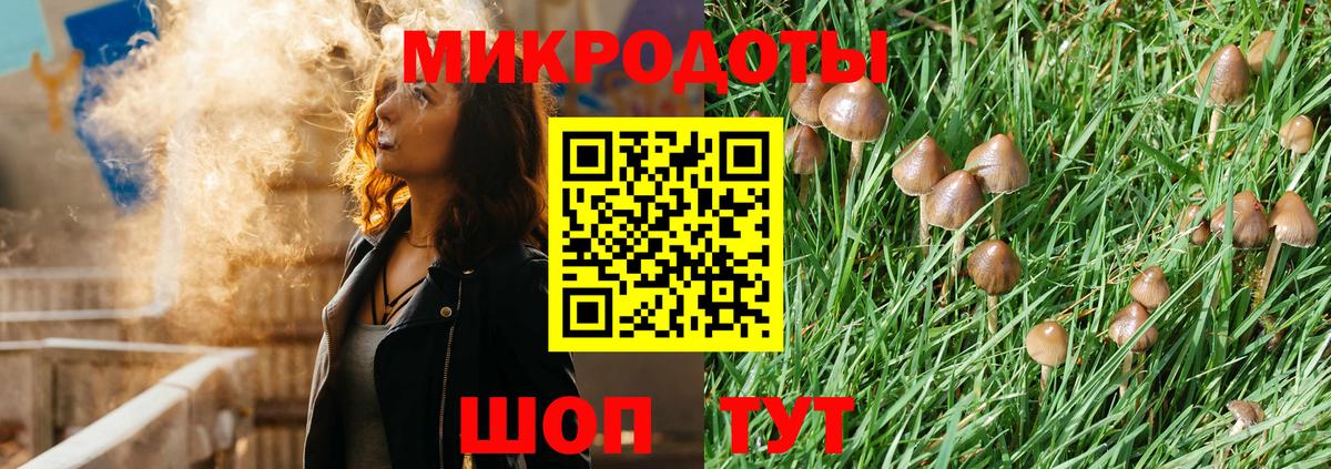 Псилоцибиновые грибы GOLDEN TEACHER Волгодонск