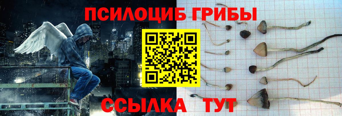 Псилоцибиновые грибы мицелий Волгодонск