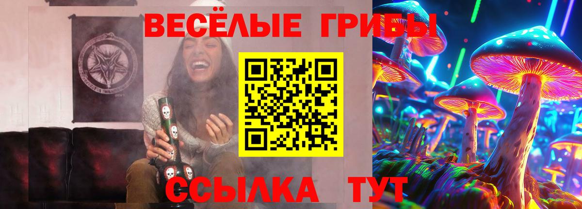 Галлюциногенные грибы Cubensis  Волгодонск 