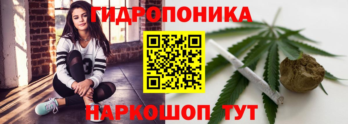 Конопля AK-47  Бошки марихуана Ganja  Волгодонск  Конопля White Widow  Бошки Шишки Ganja 